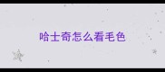 哈士奇怎么看毛色