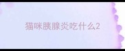 猫咪胰腺炎吃什么