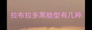 拉布拉多黑脸型有几种