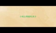 小哈士奇能吃多少