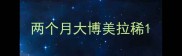两个月大博美拉稀