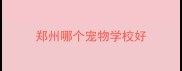郑州哪个宠物学校好