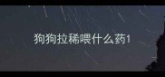 狗狗拉稀喂什么药