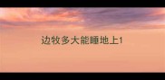 边牧多大能睡地上