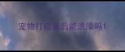 宠物打疫苗后能洗澡吗