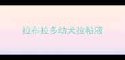 拉布拉多幼犬拉粘液