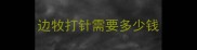 边牧打针需要多少钱