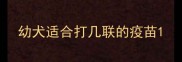 幼犬适合打几联的疫苗