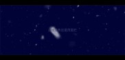 边牧笼养还是用围栏