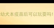 幼犬本疫苗后可以玩耍吗