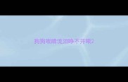 狗狗眼睛流泪睁不开眼