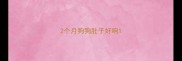 2个月狗狗肚子好响
