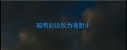 聪明的边牧为啥胆小