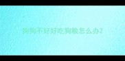 狗狗不好好吃狗粮怎么办