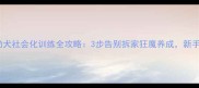 哈士奇幼犬社会化训练全攻略3步告别拆家狂魔养成新手必看