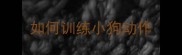 如何训练小狗动作