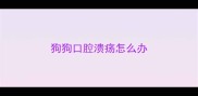 狗狗口腔溃疡怎么办