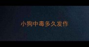 小狗中毒多久发作