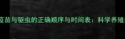 猫咪疫苗与驱虫的正确顺序与时间表科学养殖指南
