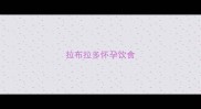 拉布拉多怀孕饮食