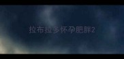 拉布拉多怀孕肥胖