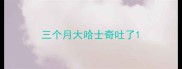三个月大哈士奇吐了