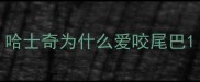 哈士奇为什么爱咬尾巴