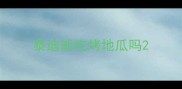 泰迪能吃烤地瓜吗