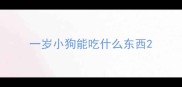 一岁小狗能吃什么东西