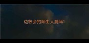 边牧会抱陌生人腿吗