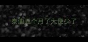 泰迪五个月了大便少了