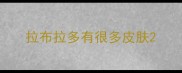 拉布拉多有很多皮肤