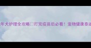 泰迪疫苗后注意事项成年犬护理全攻略打完疫苗后必看宠物健康泰迪养护狗狗疫苗养宠避坑