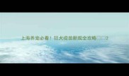 上海养宠必看狂犬疫苗新规全攻略
