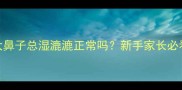 泰迪两个月大鼻子总湿漉漉正常吗新手家长必看护理指南