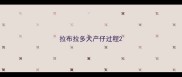 拉布拉多犬产仔过程
