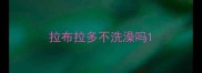 拉布拉多不洗澡吗