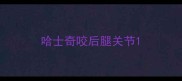 哈士奇咬后腿关节