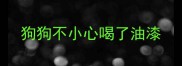 狗狗不小心喝了油漆
