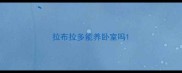 拉布拉多能养卧室吗