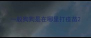 一般狗狗是在哪里打疫苗