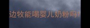 边牧能喝婴儿奶粉吗