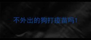 不外出的狗打疫苗吗