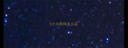 5个月狗狗多久尿