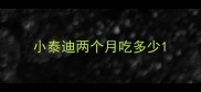 小泰迪两个月吃多少