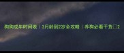 狗狗成年时间表3月龄到2岁全攻略养狗必看干货