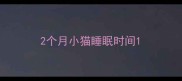 2个月小猫睡眠时间