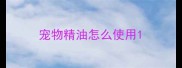 宠物精油怎么使用