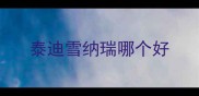 泰迪雪纳瑞哪个好