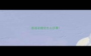 泰迪老睡觉怎么回事